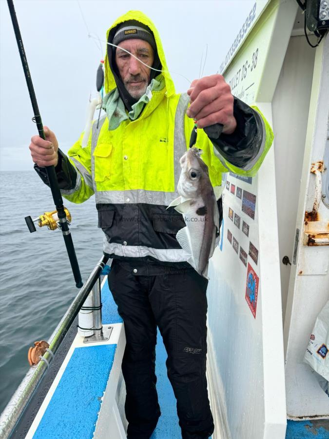 1 lb 15 oz Haddock by John.