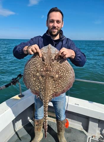 12 lb Thornback Ray by AJ also from Dreadnought fishing club.