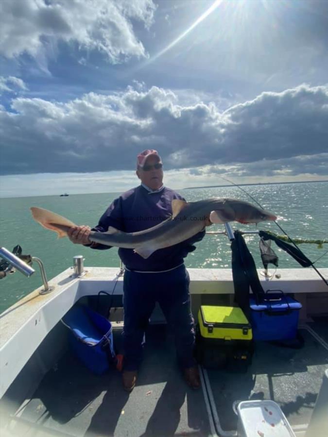 15 lb Spurdog by Dean Baker caught on yellowtails.