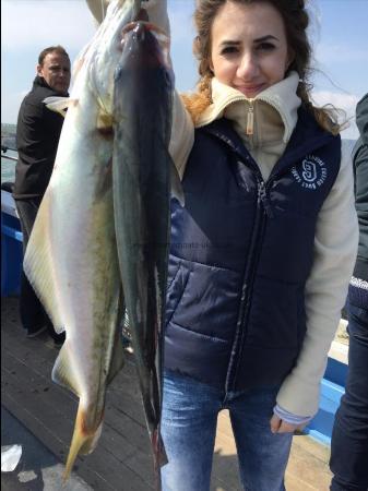 3 lb Pollock by Stephanie from hereford 28th april 2017