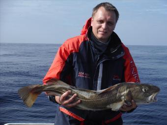 11 lb 2 oz Cod by andreus