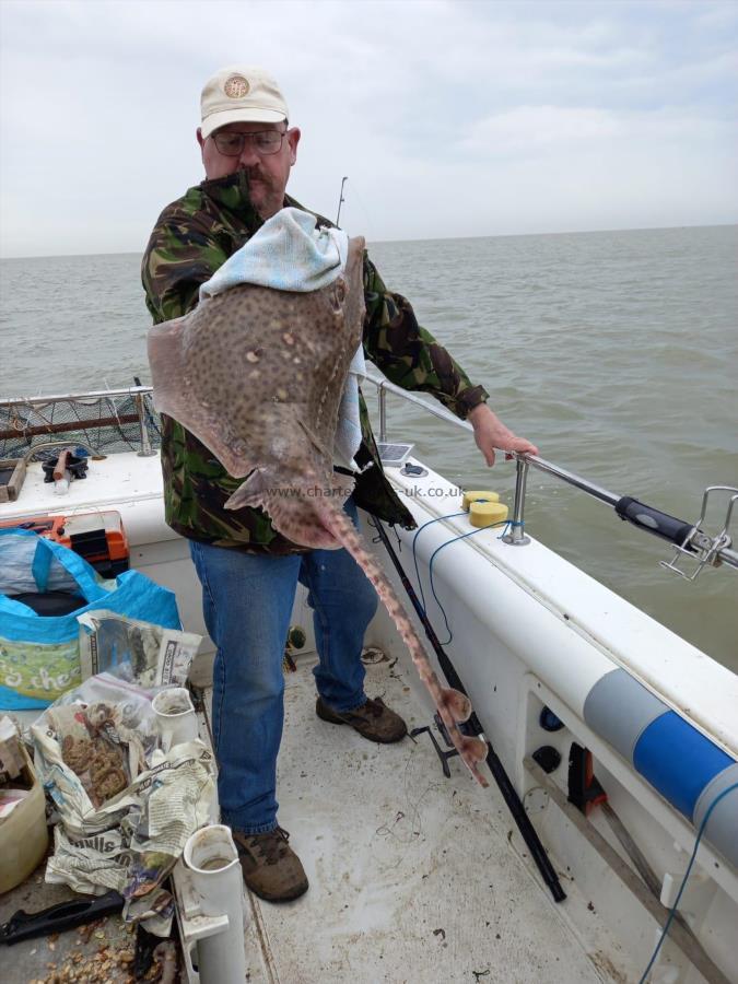 10 lb 6 oz Thornback Ray by Unknown