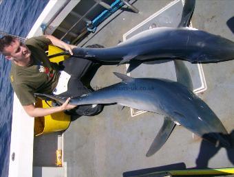 90 lb Blue Shark by Simon Double Hookup