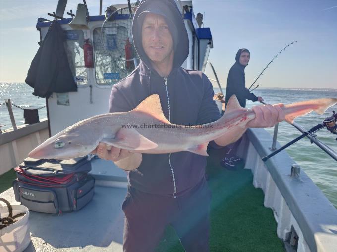 8 lb Smooth-hound by Lee