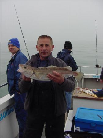 4 lb Whiting by Steve Arnold