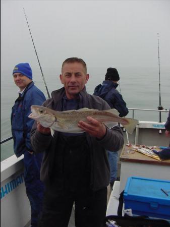 4 lb Whiting by Steve Arnold