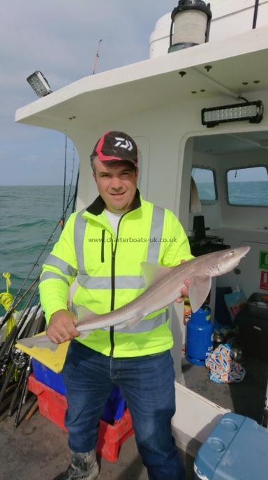 5 lb Smooth-hound (Common) by Olaren