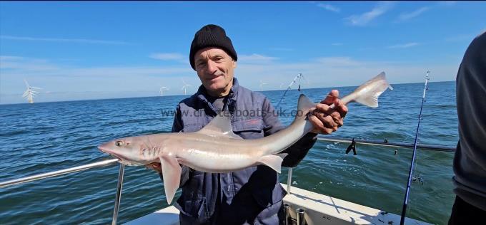 8 lb 3 oz Smooth-hound (Common) by Ray