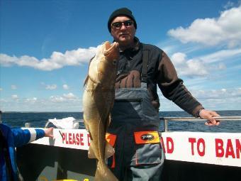 15 lb 2 oz Cod by phil gibson