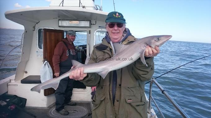 8 lb 4 oz Smooth-hound by Bob Marshall