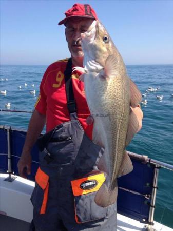 12 lb Cod by Unknown