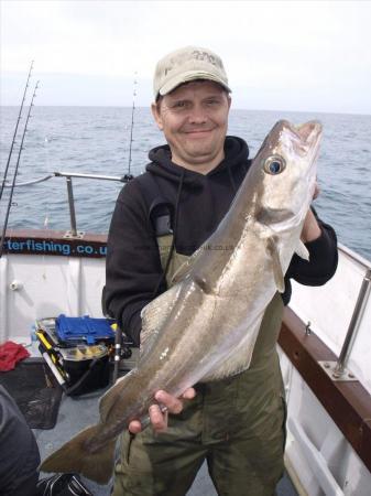 6 lb 12 oz Pollock by Unknown