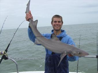 13 lb 5 oz Smooth-hound (Common) by Unknown