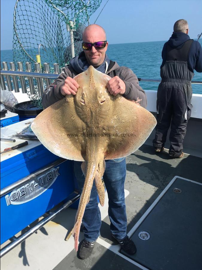 23 lb Blonde Ray by Unknown
