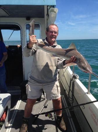 15 lb Smooth-hound (Common) by Derek Mole