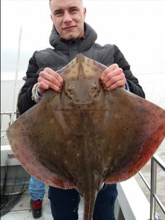 25 lb Blonde Ray by Elliot