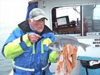 2 lb 5 oz Black Sea Bream by Ted