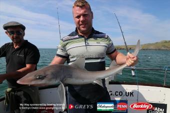 11 lb Starry Smooth-hound by Karl
