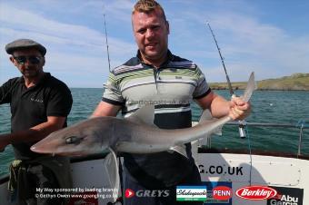 11 lb Starry Smooth-hound by Karl