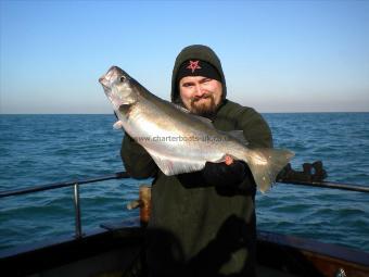 7 lb Pollock by Marc the Goth