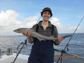 6 lb Starry Smooth-hound by Tess