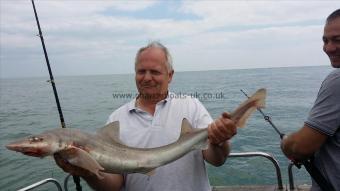 12 lb Starry Smooth-hound by Kevin