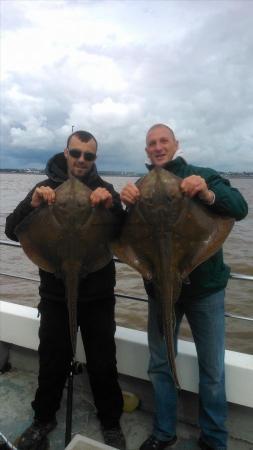 16 lb Blonde Ray by allan