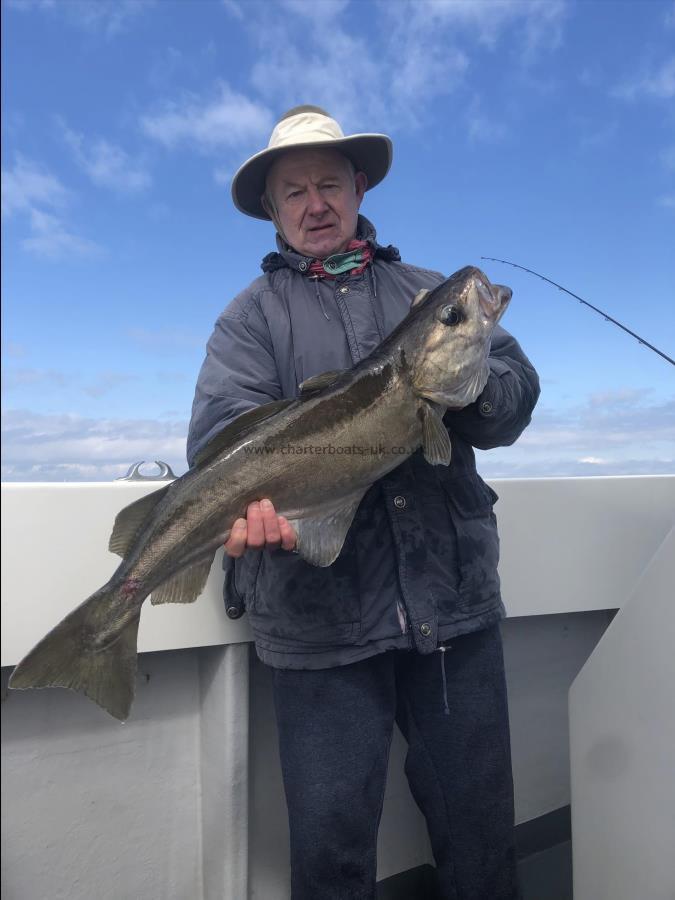 12 lb 4 oz Pollock by Unknown