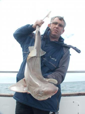 14 lb Starry Smooth-hound by Ian Tomo