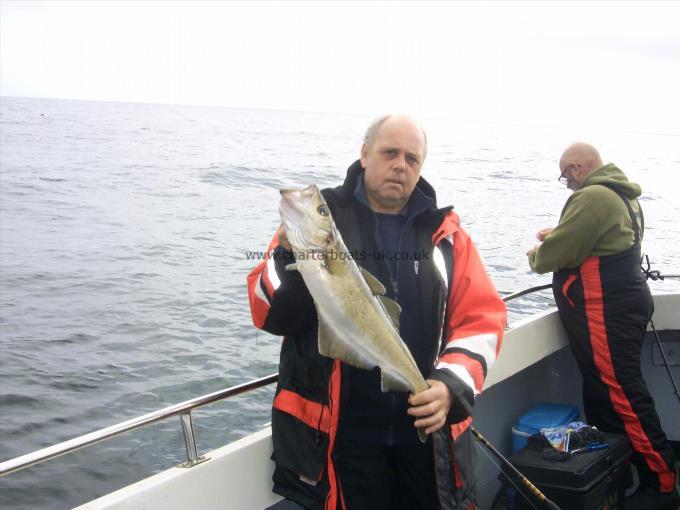 7 lb 8 oz Pollock by Unknown