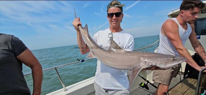 12 lb Starry Smooth-hound by Andy
