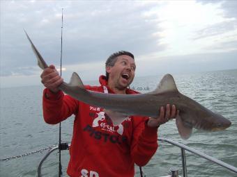 2 oz Smooth-hound by Unknown