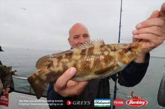 2 lb Ballan Wrasse by Jeff