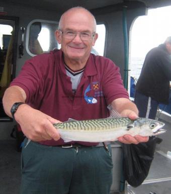 1 lb 14 oz Mackerel by Barrys crew