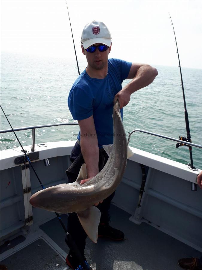 15 lb 4 oz Smooth-hound by Joe