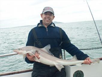 10 oz Starry Smooth-hound by Davy Holt