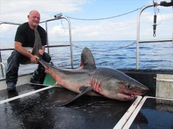 165 Kg Porbeagle by alan from somerset