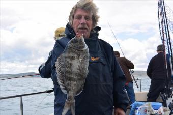 3 lb 8 oz Black Sea Bream by Stephen Wake