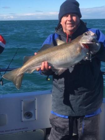 8 lb Pollock by Gareth