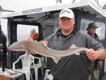 8 lb Starry Smooth-hound by Unknown