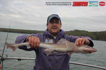 5 lb Starry Smooth-hound by Ken