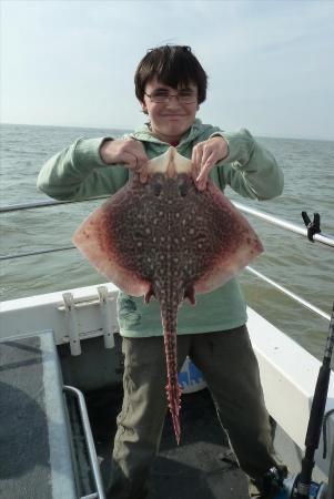 4 lb 12 oz Thornback Ray by Bob Marshall