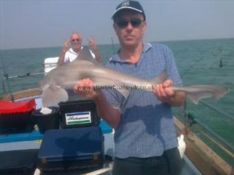 11 lb Smooth-hound (Common) by Alan Tidd