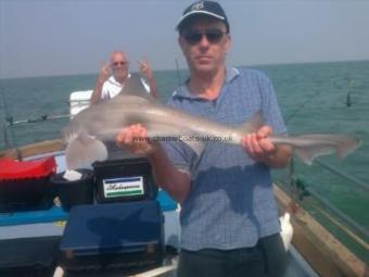 11 lb Smooth-hound by Alan Tidd