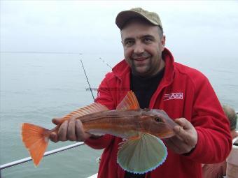 2 lb 15 oz Tub Gurnard by Unknown