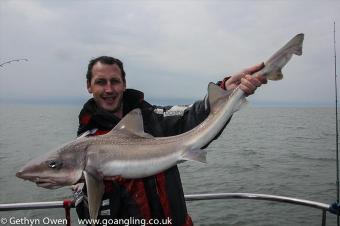 14 lb Starry Smooth-hound by Mark