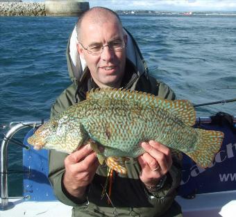 5 lb 4 oz Ballan Wrasse by Trevor Cozens