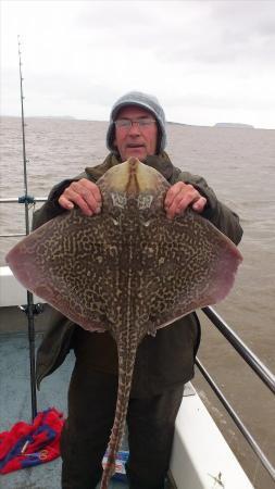10 lb 8 oz Thornback Ray by peter edwards