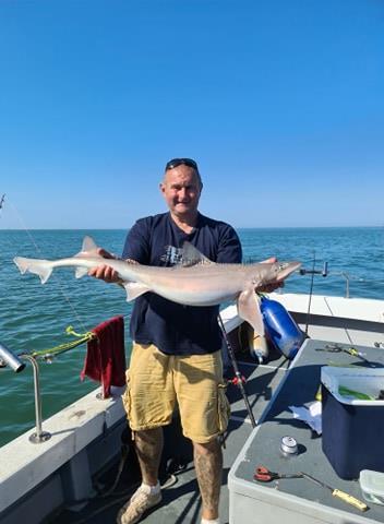 15 lb 5 oz Smooth-hound (Common) by Jason Parrott