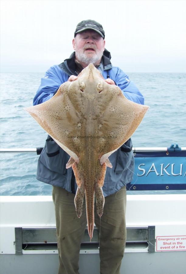 14 lb Blonde Ray by Phil Arnott